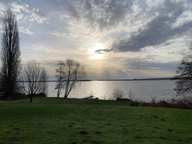 Ferienwohnung Am See Mit Terrasse 阿舍贝格 外观 照片